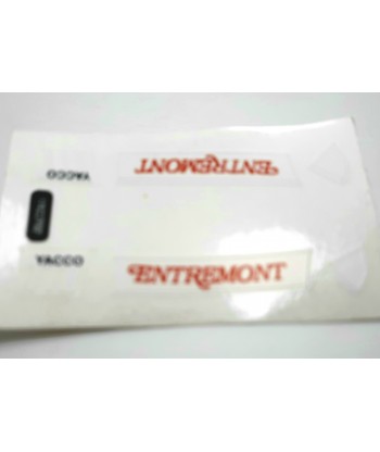 Adhesivos GTO  (chasis)