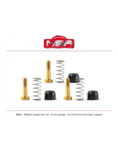 Suspensión media soporte motor en línea F1