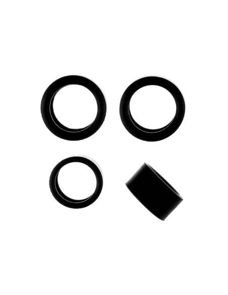 copie de Neumáticos para todos los Formula 1 Carrera Evolution vendidos a partir del 2017