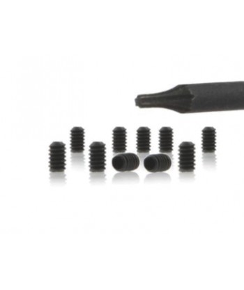 Tornillos Torx T3 L3mm Pro Axle System