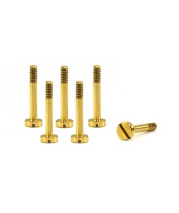 Tornillería para suspensión 13mm con cabeza de 4,3 mm  M2