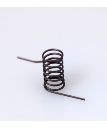 Muelle brazo basculante